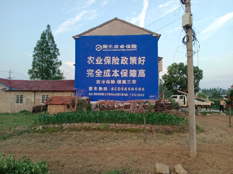 随县墙体广告的优劣势你知道吗？